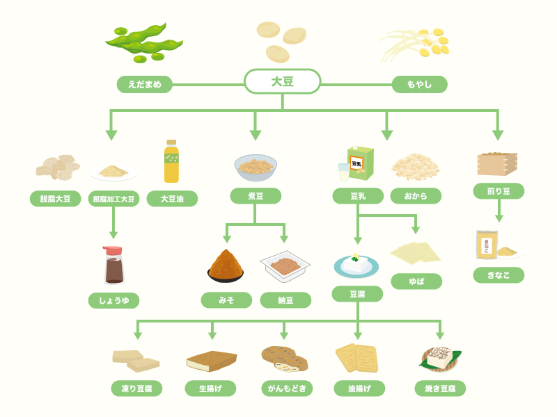 大豆製品の加工方法