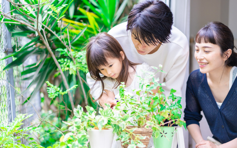 家庭菜園を楽しむ家族