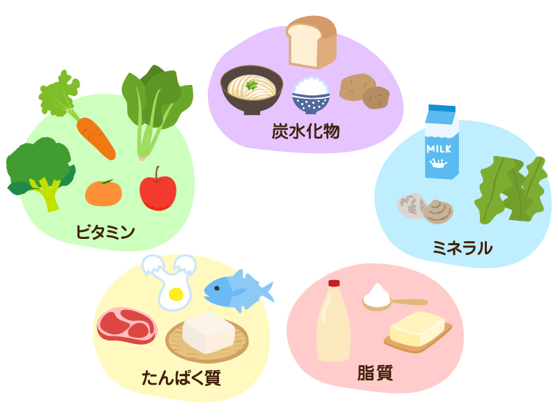 5大栄養素