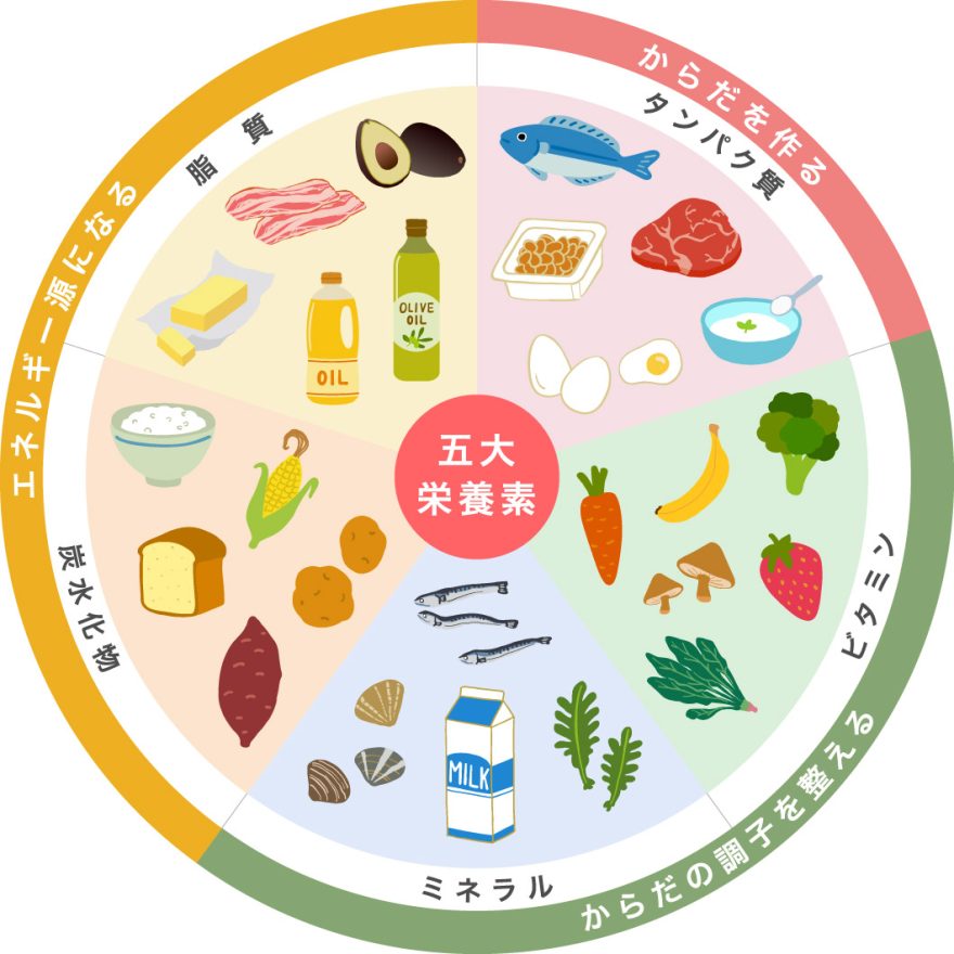 5大栄養素